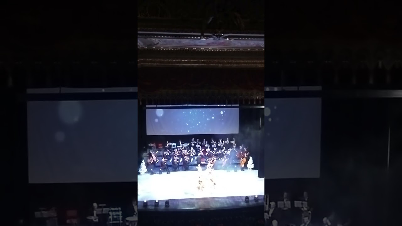 Johann Strauss