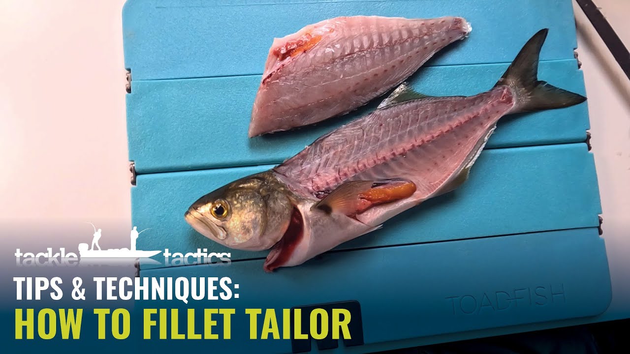 How to Fillet Tailor - Step by Step Guide