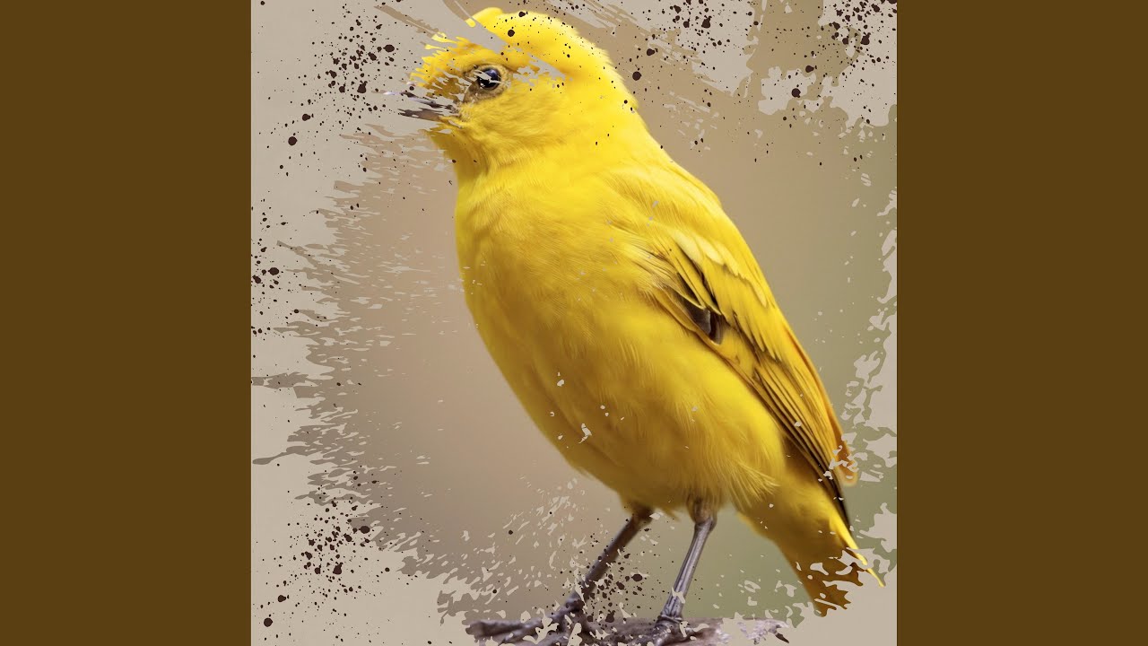 Gitmek Zor