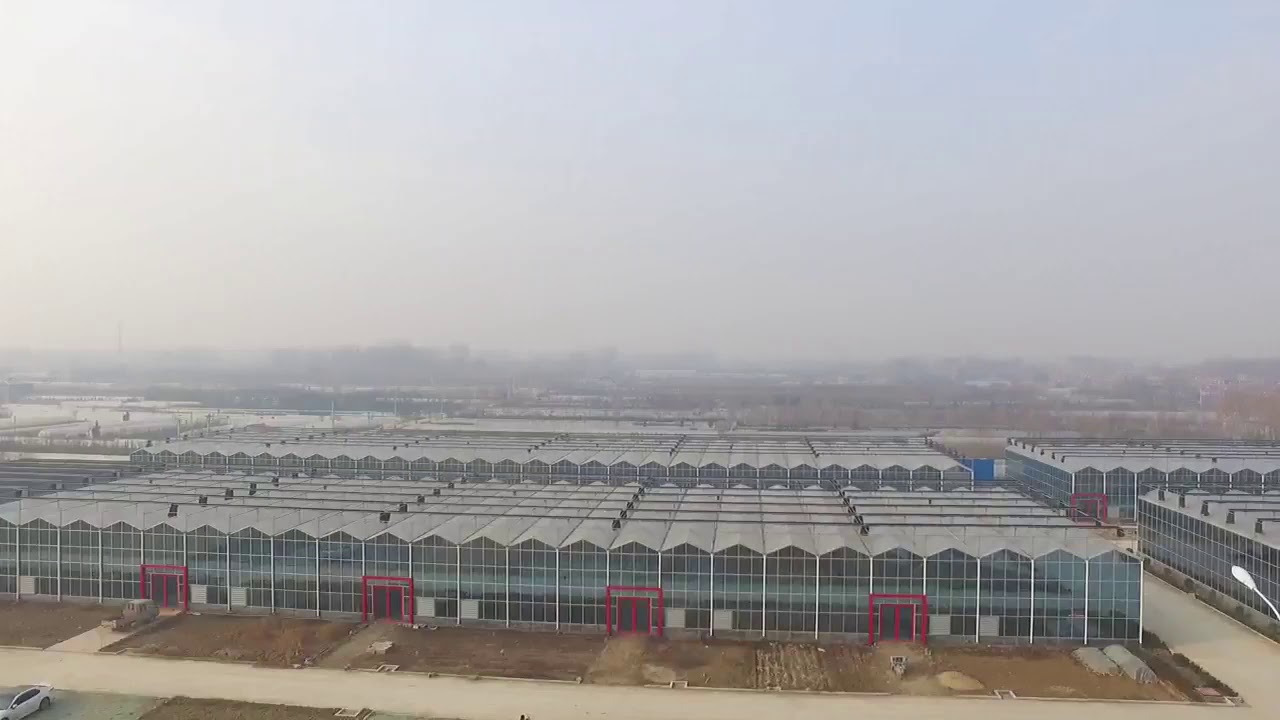 Venlo glass greenhouse from China-  Ms. Teresa from Rainbow Modern Agriculture   +8615269660106