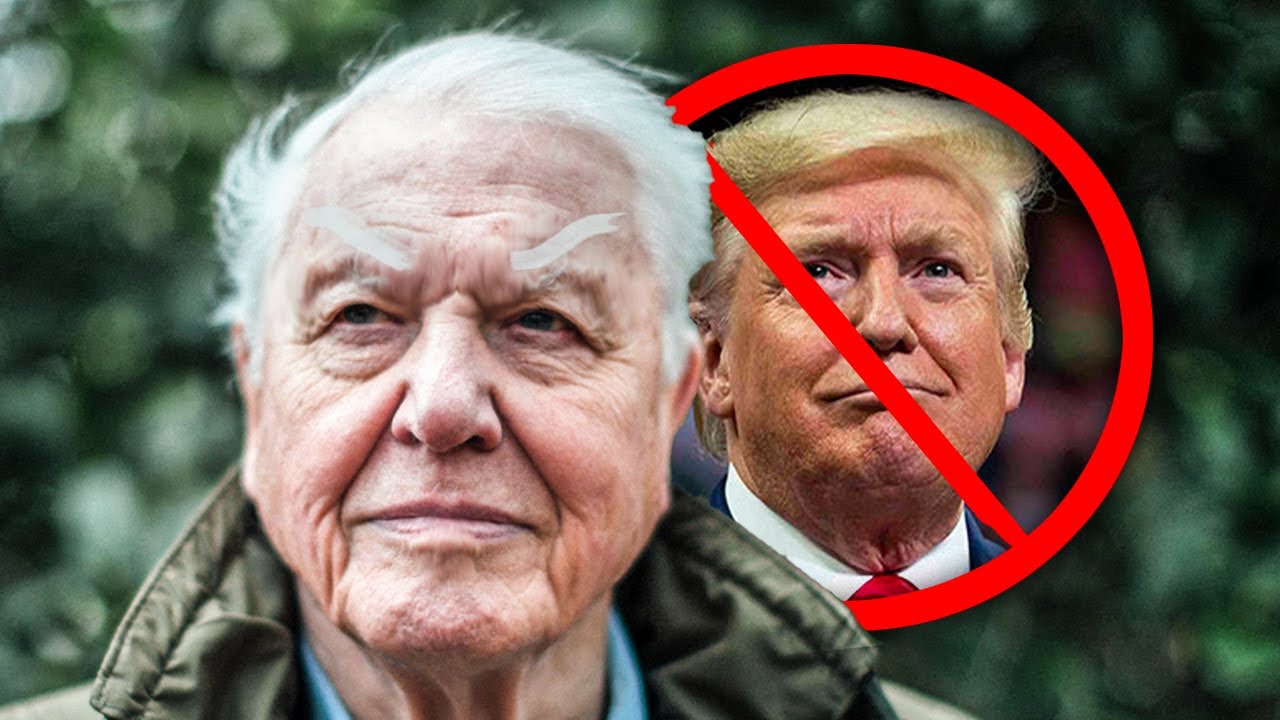 David Attenborough is DISGUSTED with boomers.