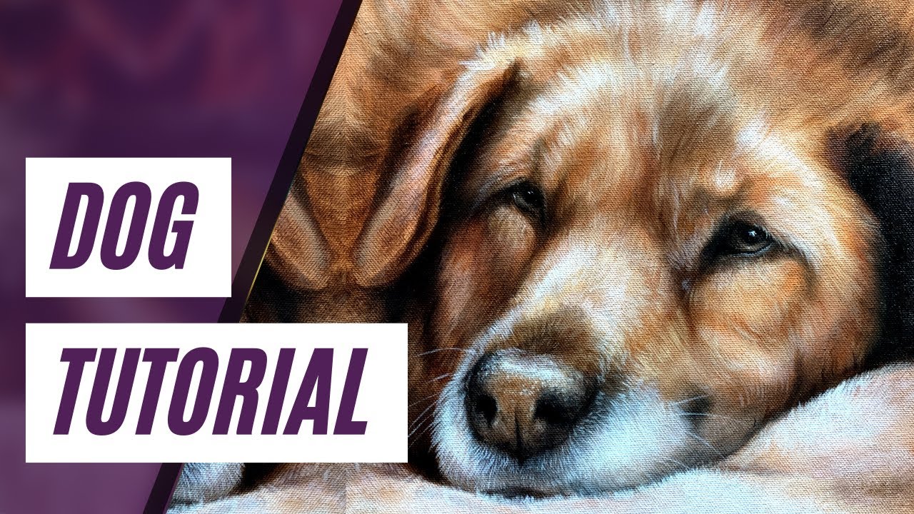 How To Paint A Dog Portrait With Oil Paint