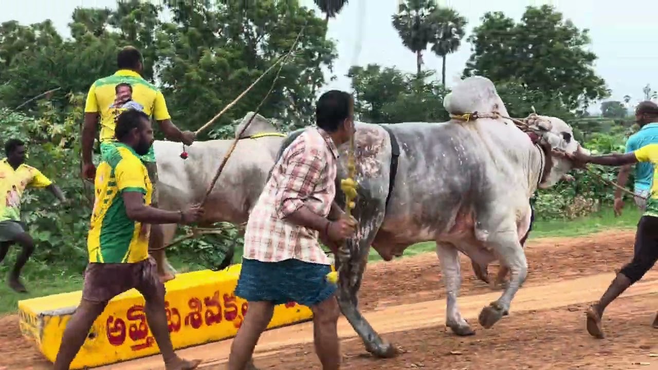 Simha&Pothireddypalle load beta