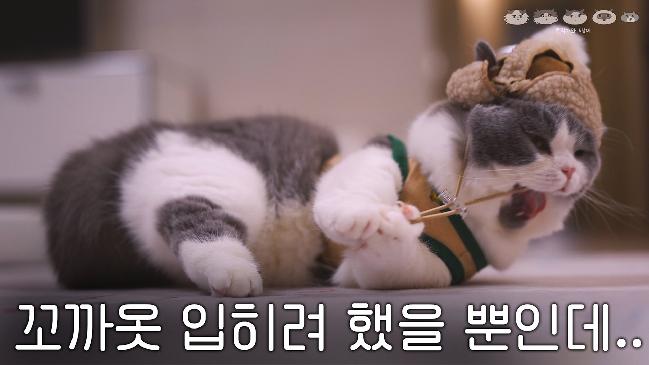 아니..왜 반만 들어가.. 뭔가 조금 귀엽게 잘못돼따
