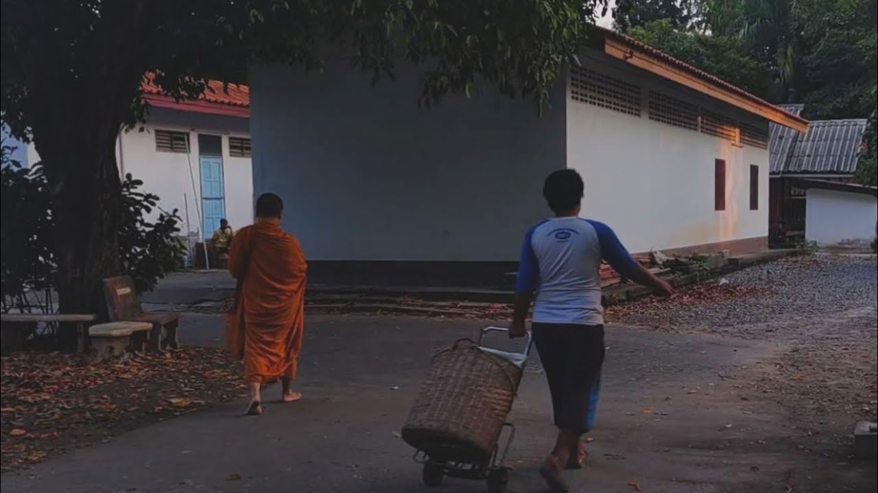 Quiet Walk in My Village, Thailand · Daily Quiet · learning to stay quiet as the morning grows