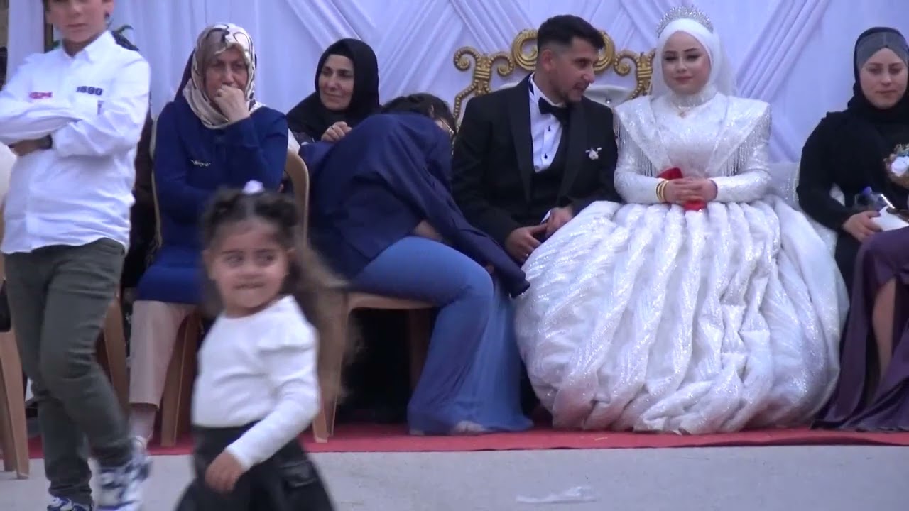 Daveta balbata feki giravi adana gülbaçesi