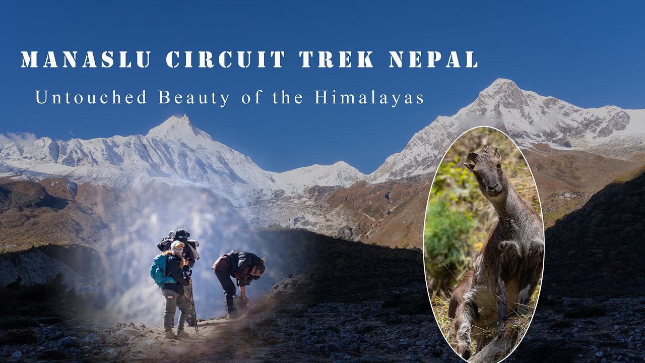 Manaslu Circuit Trek Nepal | Untouched Beauty of the Himalayas #himalayas