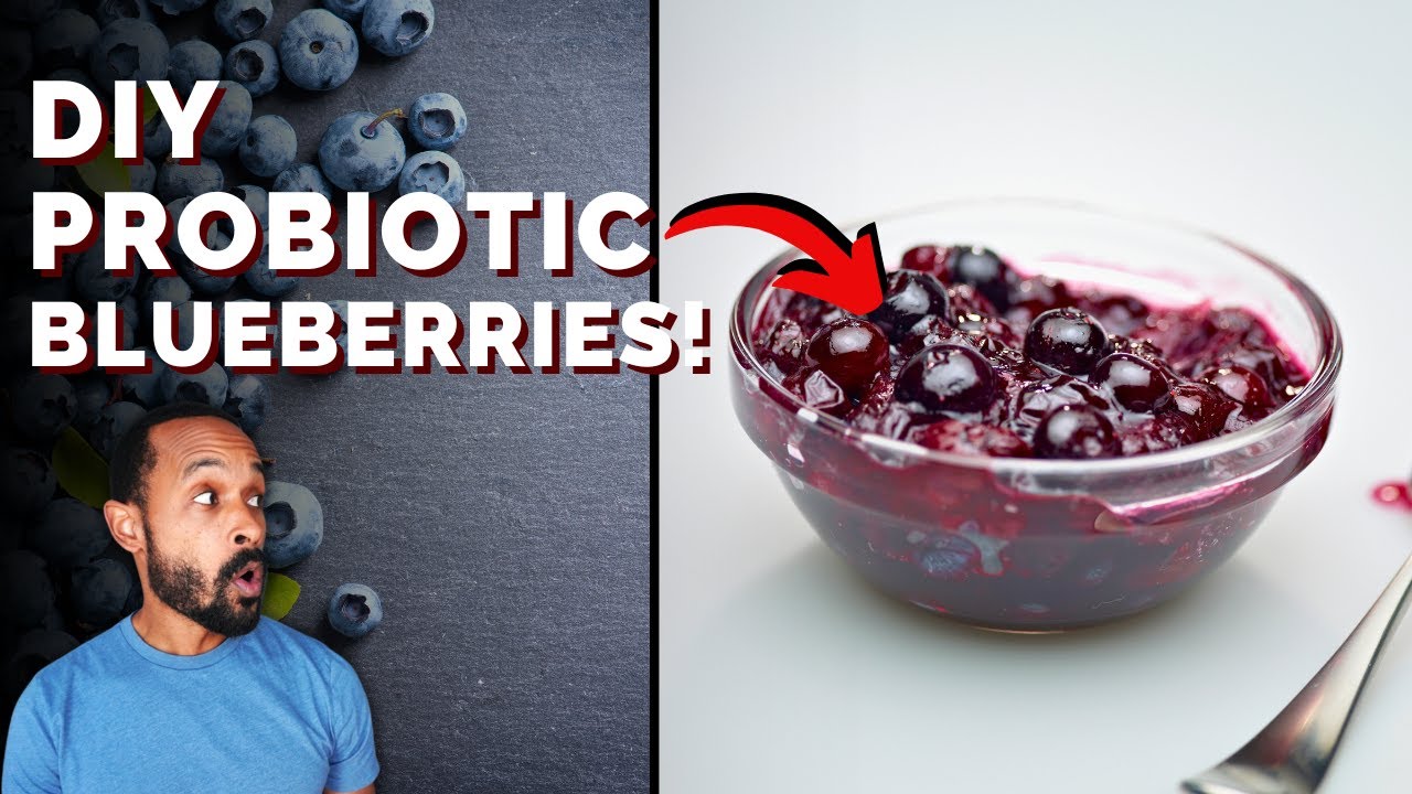 How to Make Gut Healthy Fermented Blueberries AT HOME in 7 Days!