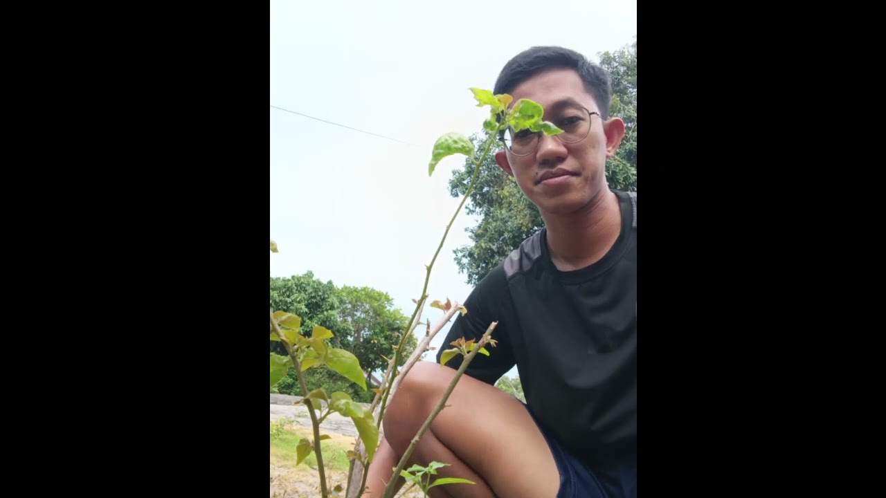 Sensasi Makan Bakwan Goreng Pakai Cabe Petik Langsung 🌶️ | Sragen