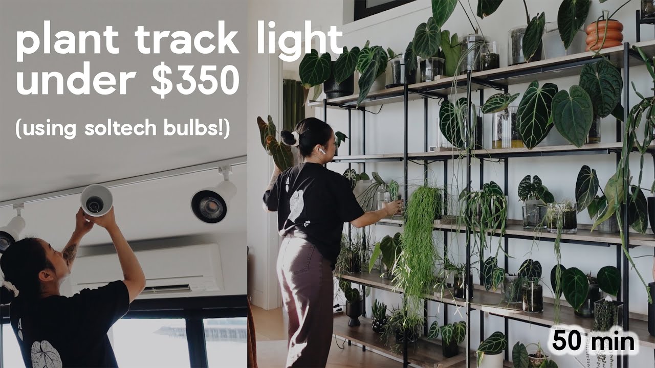 transforming my plant shelf with budget-friendly lighting 💡🪴