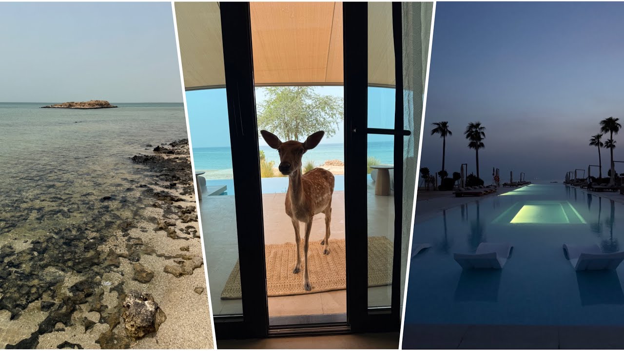 Qatar Vlog ,our habitas 🇶🇦 |  فلوق قطر، منتجع اور هابيتاس