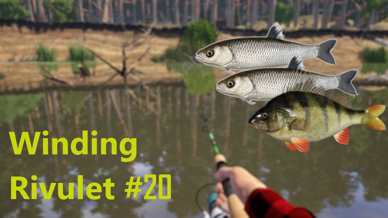 Russian Fishing 4 RF4 #20 | Winding Rivulet | Kleń & Okoń | Chub & Perch | SPOT