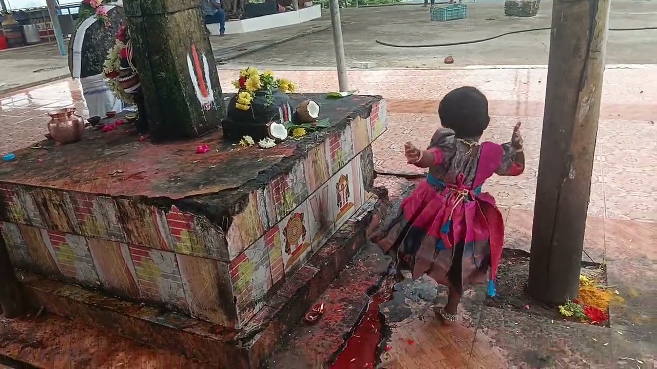 ஸ்ரீ சென்னை கேசவ பெருமாள் சுவாமி துணை, 