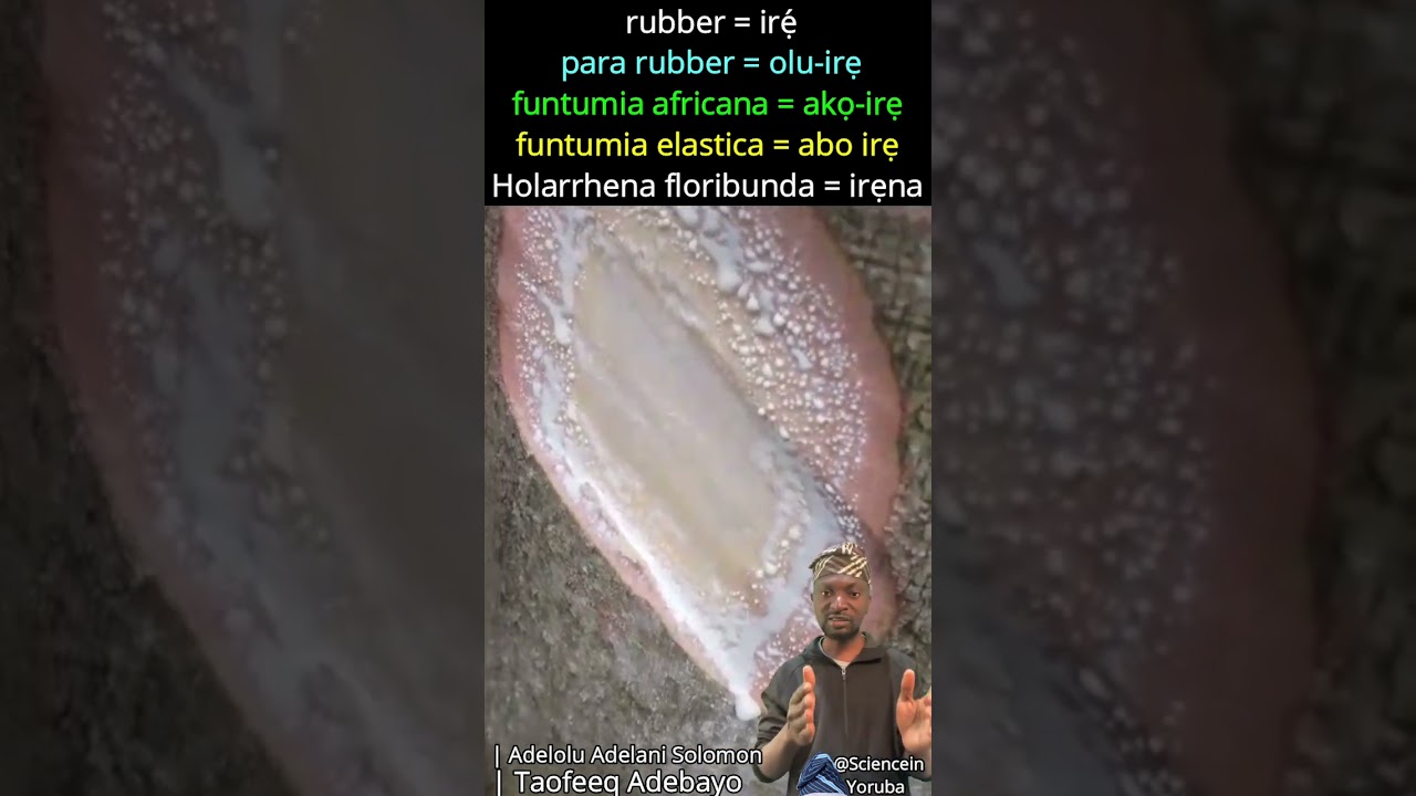 Rubber = irẹ́, etc