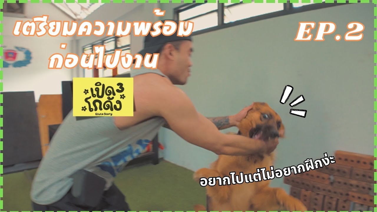 VLOG | เตรียมความพร้อมให้ซาโบ้ก่อนไปงานเปิดโกดัง 3 | EP.2