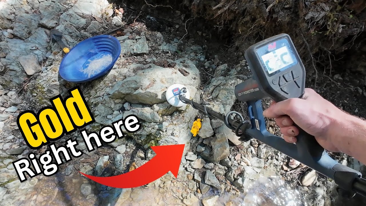 Metal Detecting Old-Timers Diggings