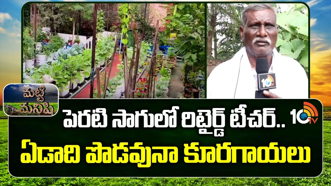 Retired Teacher Backyard Farming | పెరటి సాగు రిటైర్డ్ టీచర్ | Matti Manishi | 10TV