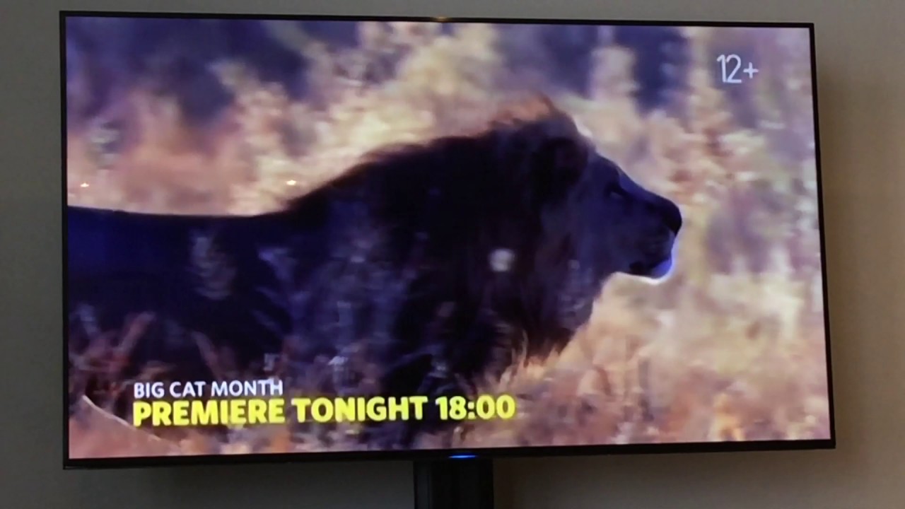 Adverts Nat Geo Wild