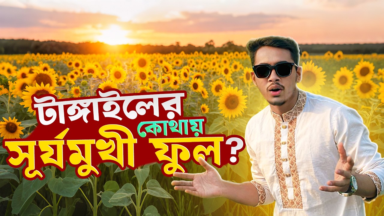 কোথায় এত সুন্দর সূর্যমুখী ফুলের বাগান!😍| R STORY