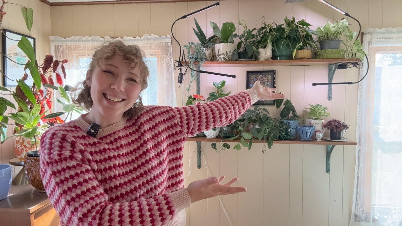 Things Every Houseplant Grower Should Check Weekly