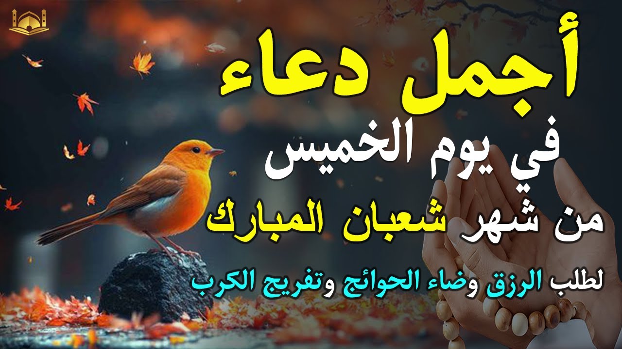 دعاء فى يوم الاثنين المستجاب دعاء في يوم 7 من شهر شعبان للرزق والشفاء العاجل وقضاء الحوائج 🤲(4k)