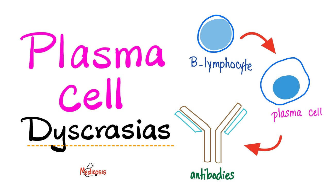 Multiple Myeloma, Waldenström macroglobulinemia, MGUS, MGRS - Plasma Cell Dyscrasias - Introduction