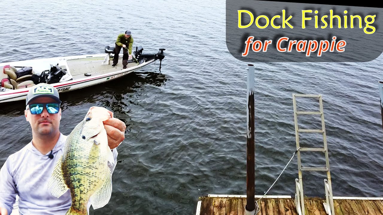 Best 3 Crappie Rods for Dock Fishing (Fall Fishing)