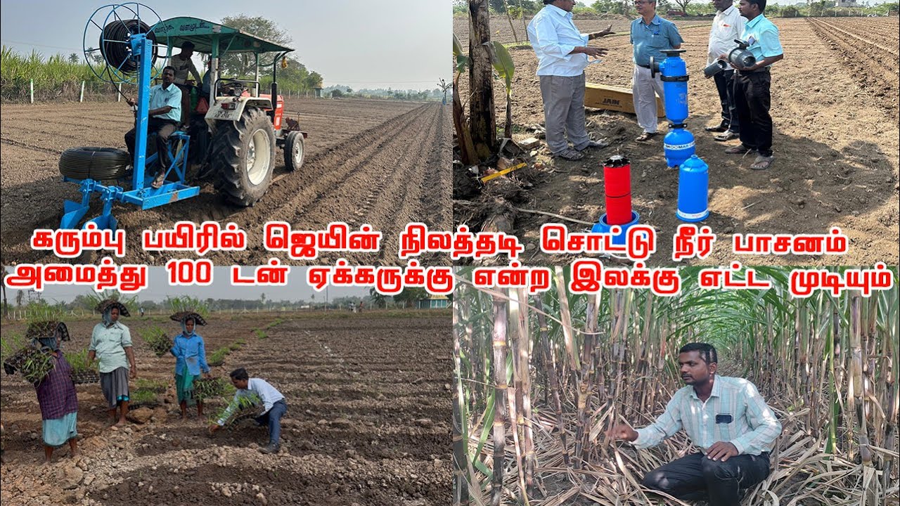 கரும்பு பயிரில் ஜெயின் நிலத்தடி சொட்டு நீர் பாசனம் அமைத்து 100 டன் ஏக்கருக்கு என்ற இலக்கு