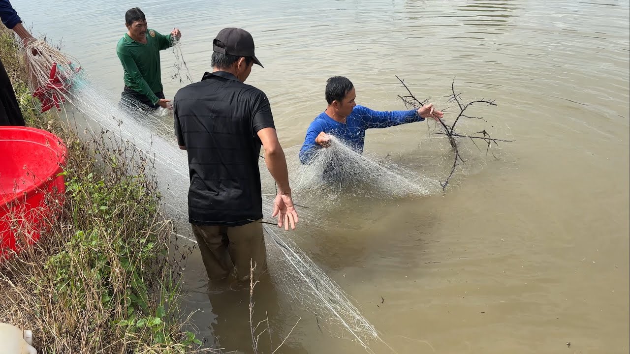 Trở Lại Ao Cá Hô Huyền Thoại Cái Kết Không Ngờ.Góc Làng Quê#1034