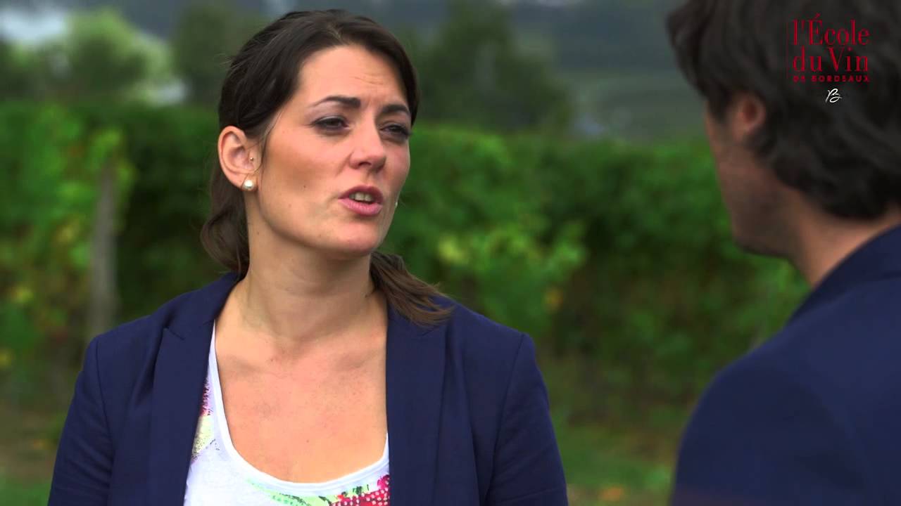 Les Sweet Bordeaux : les vins liquoreux ou moelleux - #19