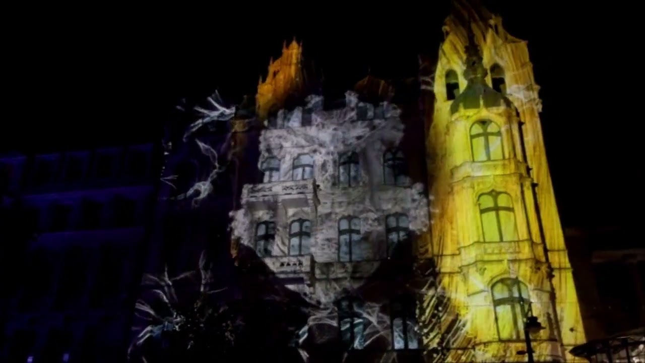 Patterns in Nature - Light Move Festival 2023 .