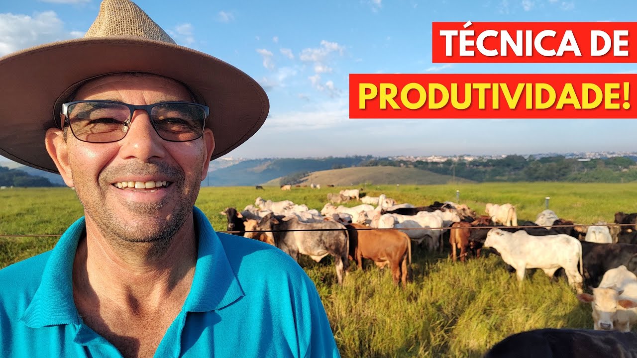 Técnica de Produtividade em Faixas, SOLUÇÃO Para o Pecuarista + Renda.