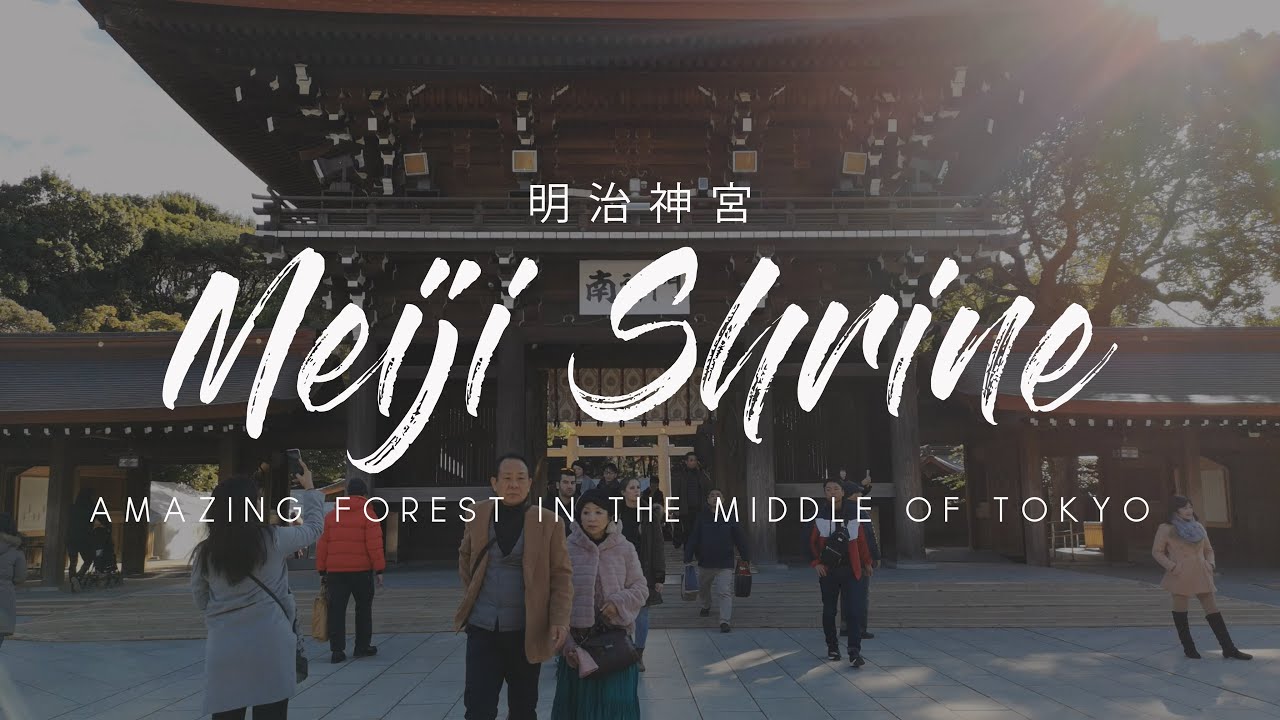 Meiji Shrine (明治神宮) | Explore the Amazing Forest in the Yoyogi district of Tokyo | Meiji Jungu