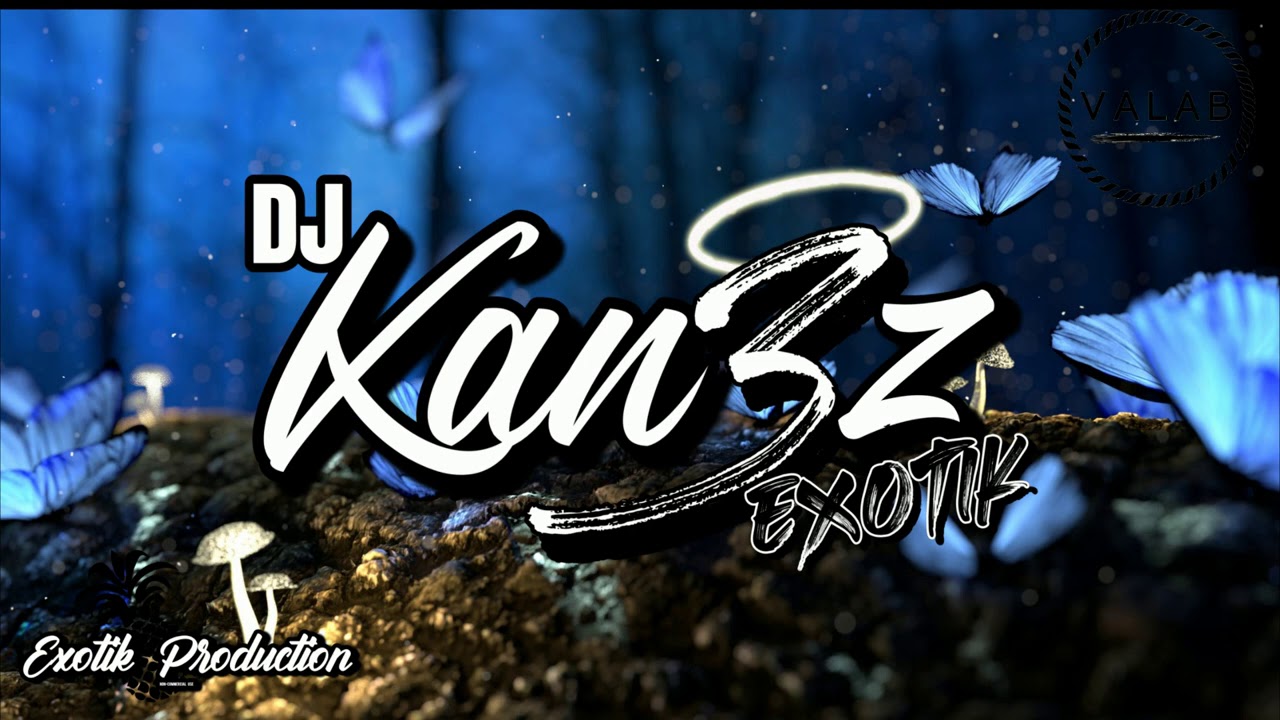 DRIKS X DJ KAN3Z - Fait le [KOMPA REMIX 2020]