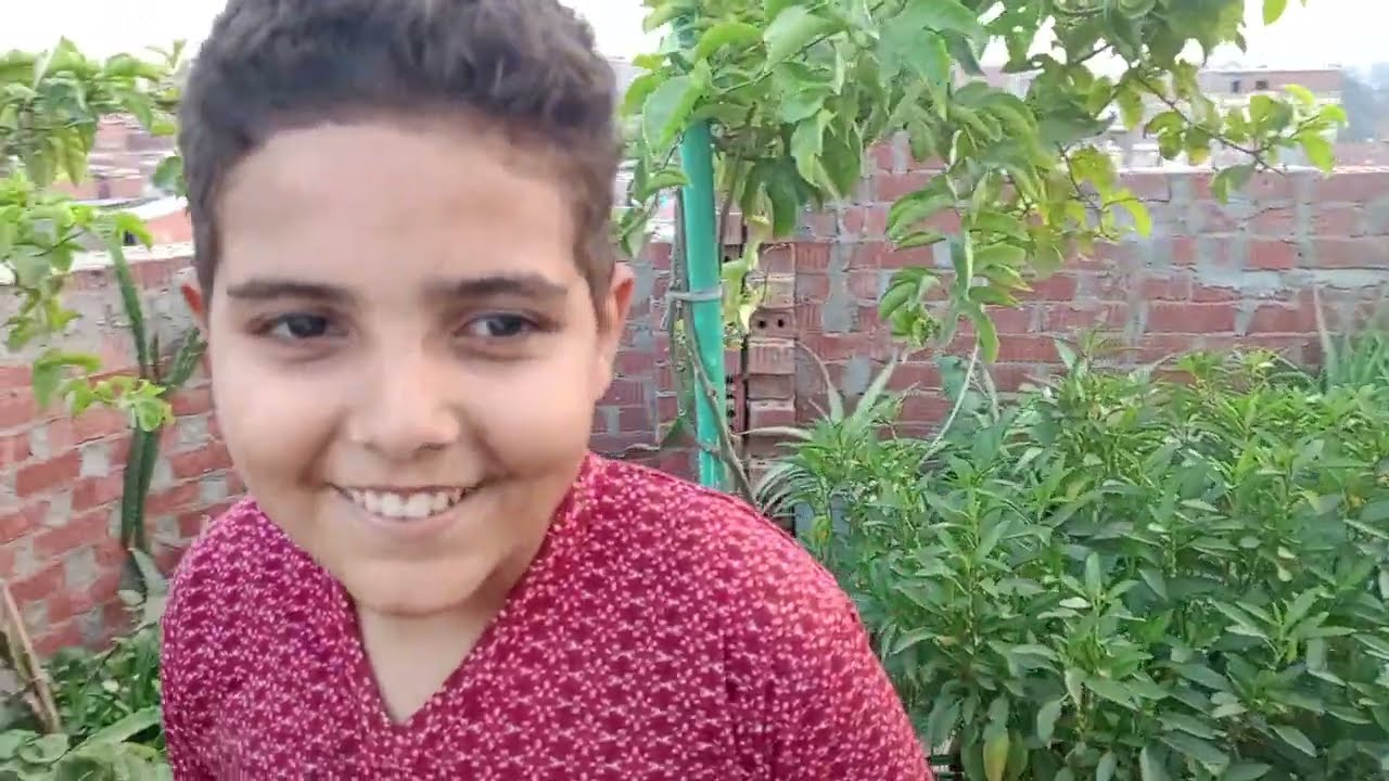عدد خارق  من نباتات الأسطح يمكنك زراعتها علي سطح مع أصغر مزارع