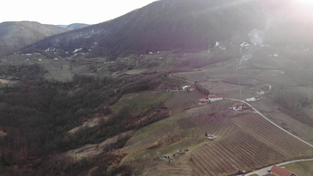 Banjica, 29.02.2020.