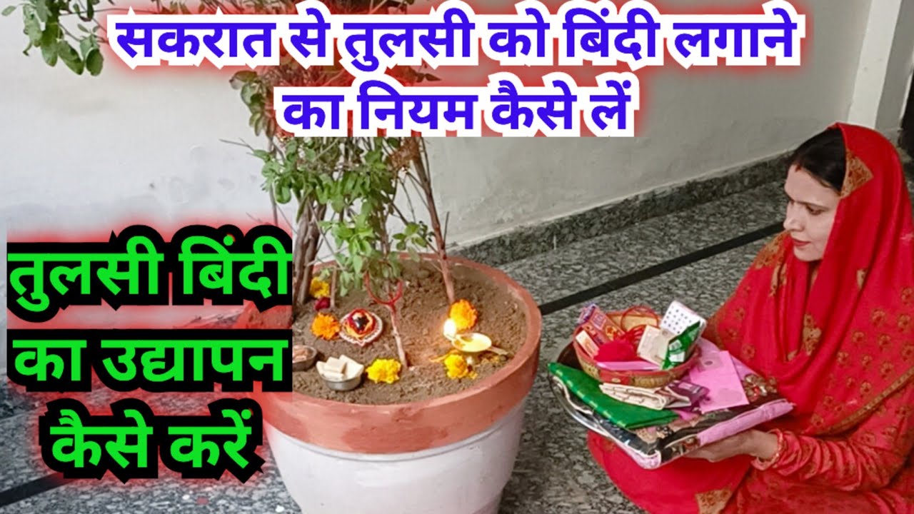सकरात से तुलसी जी को बिंदी लगाने का नियम कैसे लें उद्यापन कैसे करें || Tulsi bindi ka niyam..