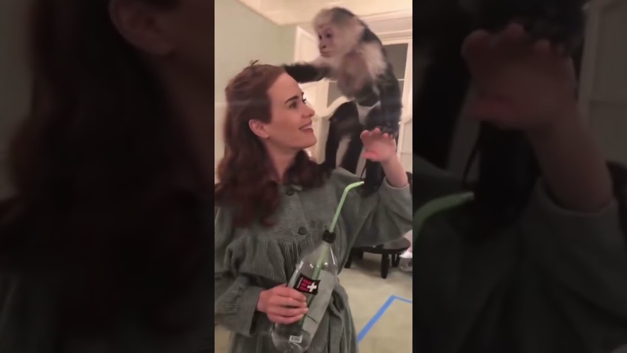 New/old videos of Sarah Paulson (2023)