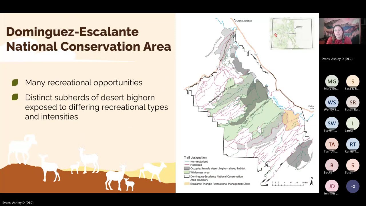 Lecture: Recreation Stress on Desert Bighorn Sheep