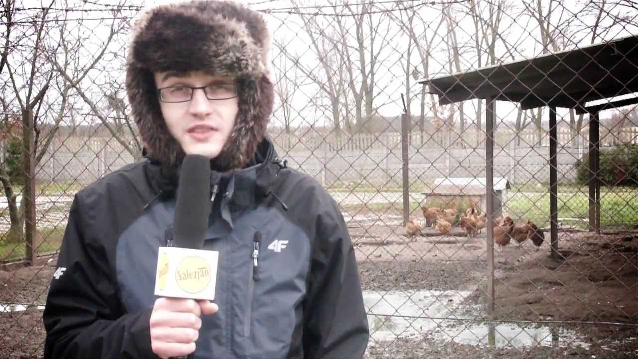 Projekt SALEZJAN (WSDTS - Ląd)