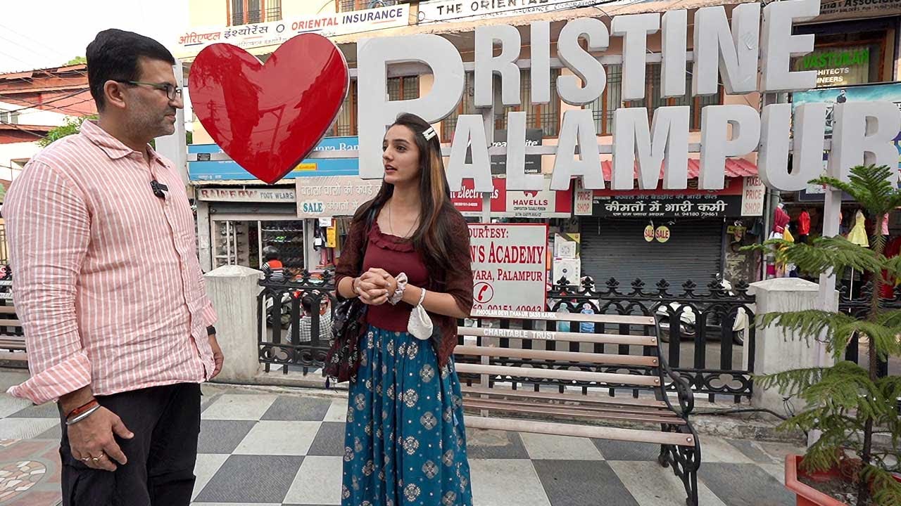 PALAMPUR Food Walk I Joy Special Chaat Papdi + Fruit Wine + Milk Cake + Cookies + Mutton Momo, Softy