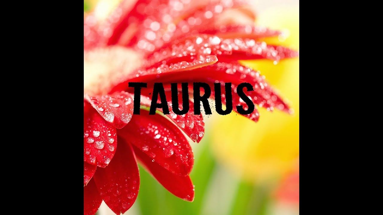 Taurus - Unrequited Love Brings An Engagement 😯💍 Mar 7th to Mar 20th
