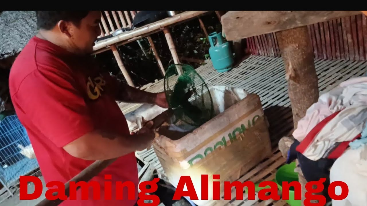 Nanghuli Kami Ng Alimango,@kanutoTV 