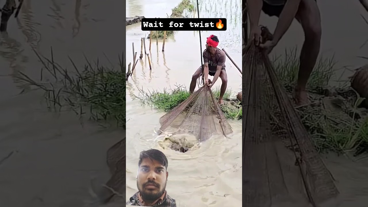 net fishing 