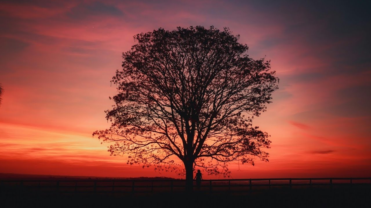 40 minutes Powerful Meditation for Stress Relief & Positivity #positiveenergy #stressreliefmusic 