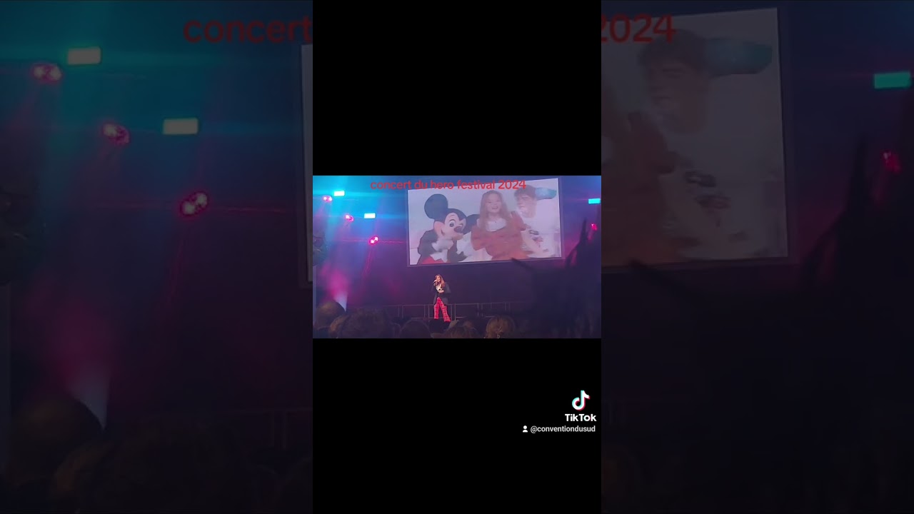 Concert Hero Festival 2024