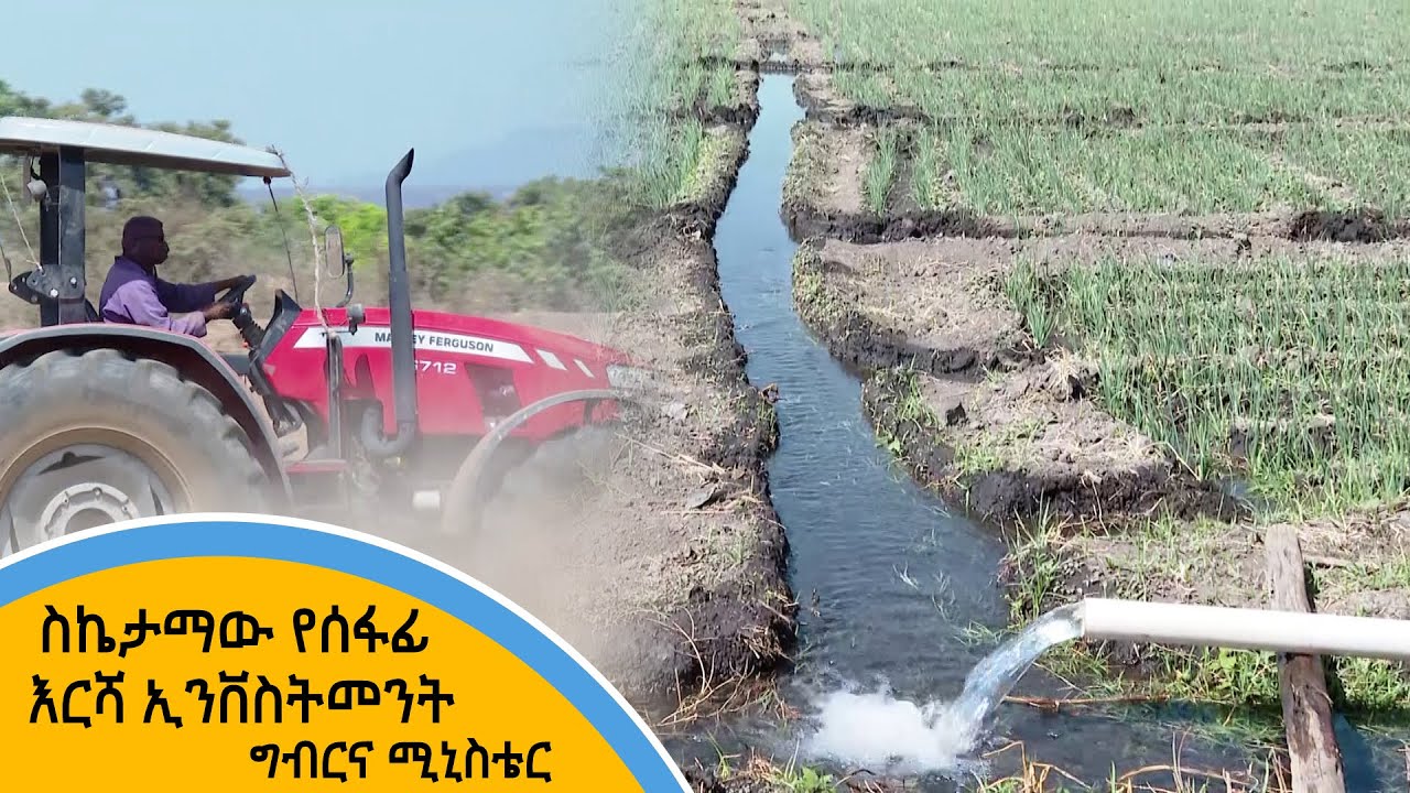 ስኬታማው የሰፋፊ እርሻ ኢንቨስትመንት - ግብርና ሚኒስቴር