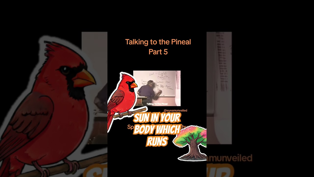 Rev.William Bill Donahue Talking To The Pineal Part 5 #anandaji #ascension #billdonahue