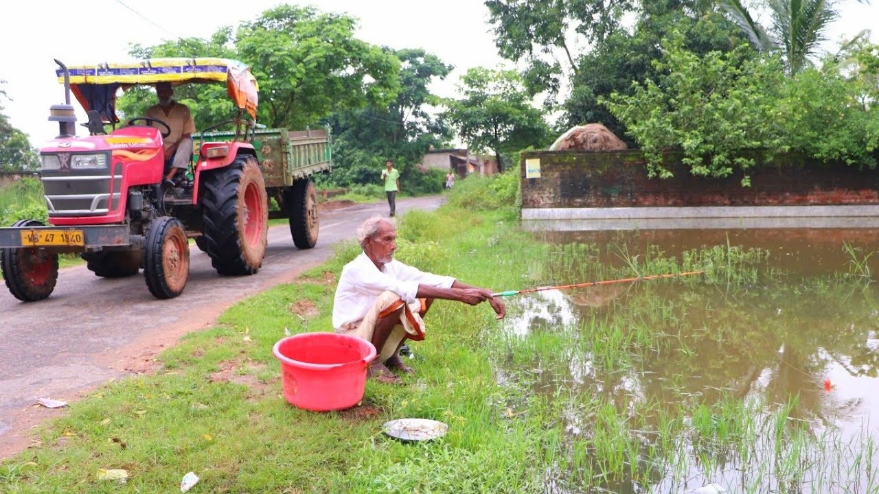 Fishing Video || Grandpa catches fish in every canal in the village with the right bait || Hook trap