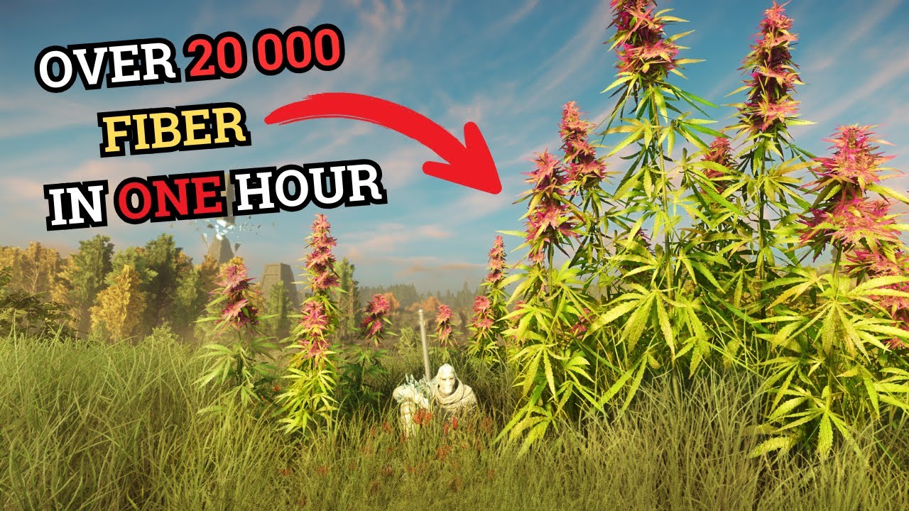 Easy Fiber Farm Route - 20K+/Hour With Minimap (New World Aeternum 2025)